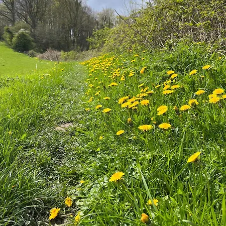 Rinkenaeshus D Ferienhaus